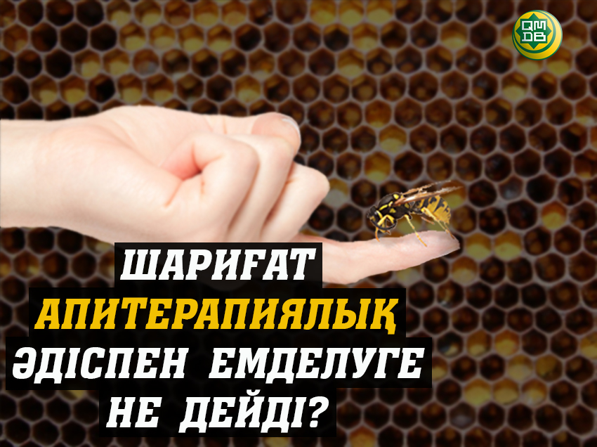 ШАРИҒАТ АПИТЕРАПИЯЛЫҚ ӘДІСПЕН ЕМДЕЛУГЕ НЕ ДЕЙДІ?