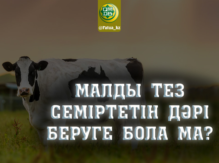 МАЛДЫ ТЕЗ СЕМІРТЕТІН ДӘРІ БЕРУГЕ БОЛА МА?