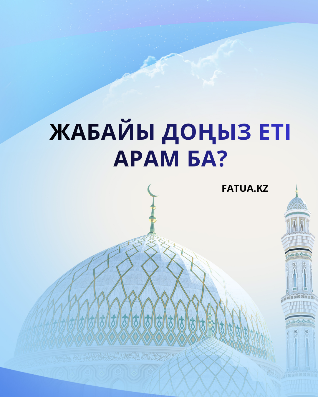 Жабайы доңыз еті арам ба?