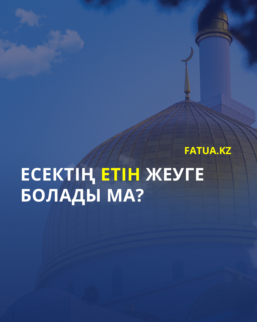 Есектің етін жеуге болады ма?