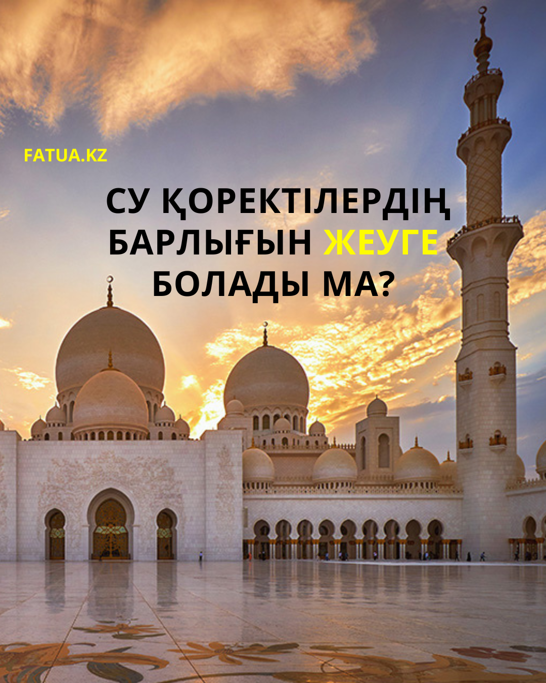 Су қоректілердің барлығын жеуге болады ма?